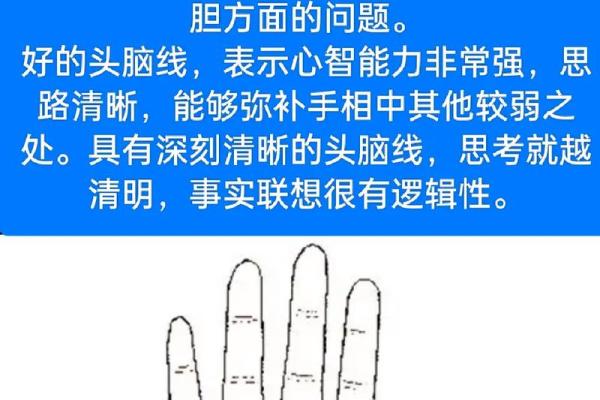 手相揭秘：如何通过掌纹发现自己的智慧面貌
