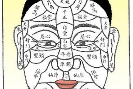 面相分析：如何通过面部特征预测未来运势