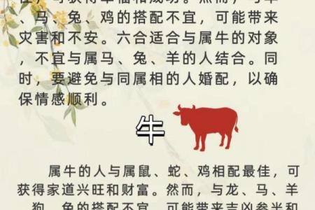 属鸡男与属龙女的婚配分析：是否天作之合？