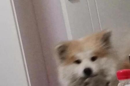 男肛门长毛的原因与命运解读