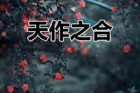 通过八字看两人是否天作之合