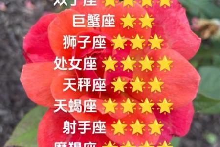 金牛座今日运势：事业与爱情的平衡艺术