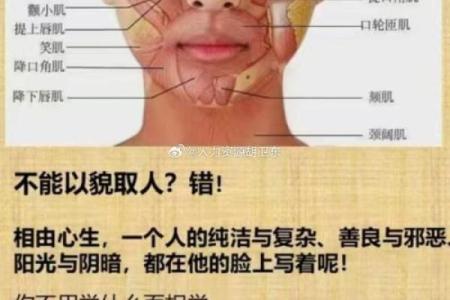 夫妻面相对比：面部特征如何揭示夫妻感情走向