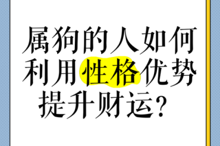 卖狗与风水：打造吉祥的商业环境