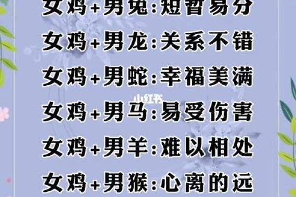 属狗和属猴的配对是否合适？解析两者的相容性与婚姻关系