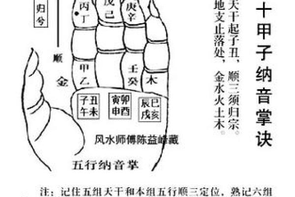 如何利用红雀掌风水改善家中的能量流动