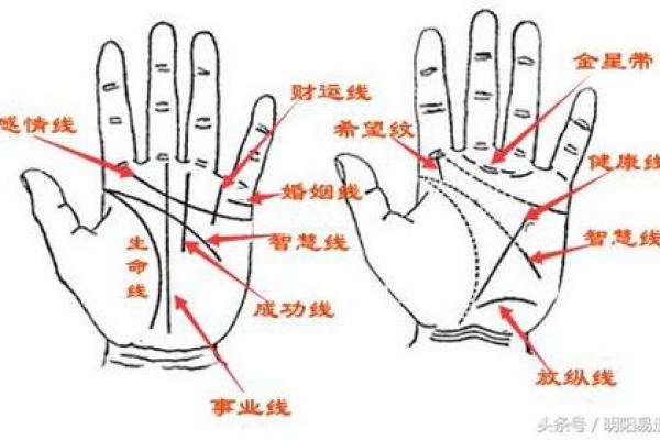 如何利用红雀掌风水改善家中的能量流动