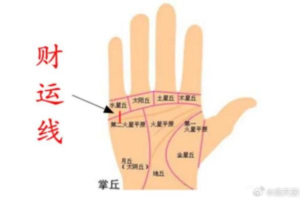 经商手相解析：从手掌看你的商业潜力