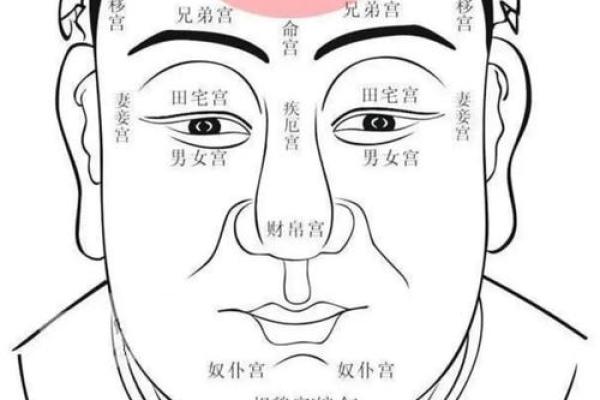 下巴在面相学中的作用与命运走向分析