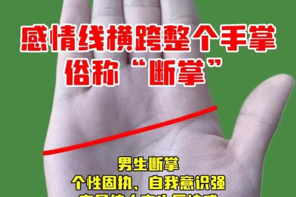 手相中的宠爱线揭示你的人际关系和情感世界