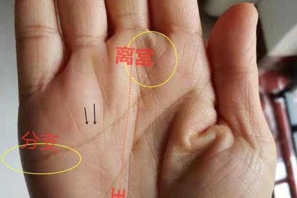 探索手相学的未来：测手相相机如何改变命运解析