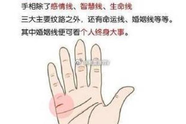 揭示离婚的手相征兆：哪些线条需要警惕