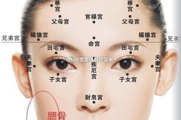 夫妻面相与婚姻运势：哪些面部特征预示感情和谐