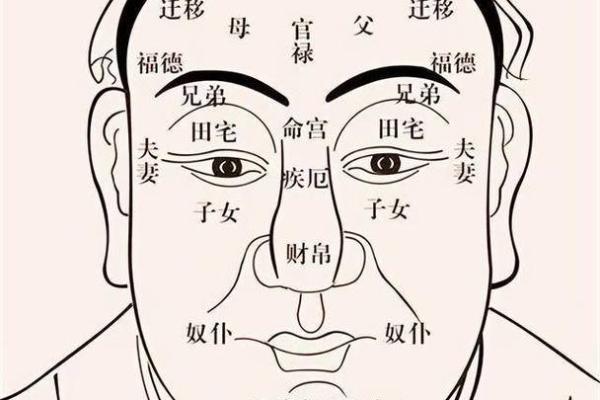 高鼻梁面相代表的财富与事业运