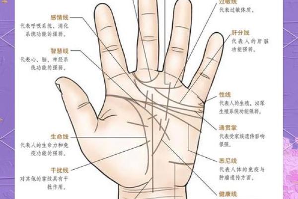 解密手相中的秘密：你手掌的线条透露了什么命运信息