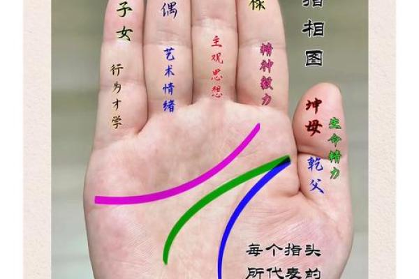解读手相百六种：通过掌纹窥探生命的秘密