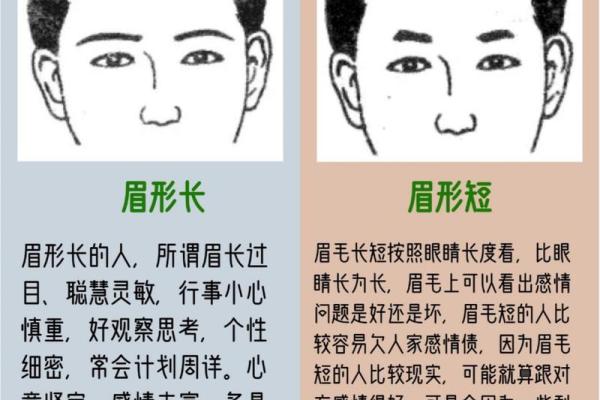 眉毛长的面相特征与命运解析
