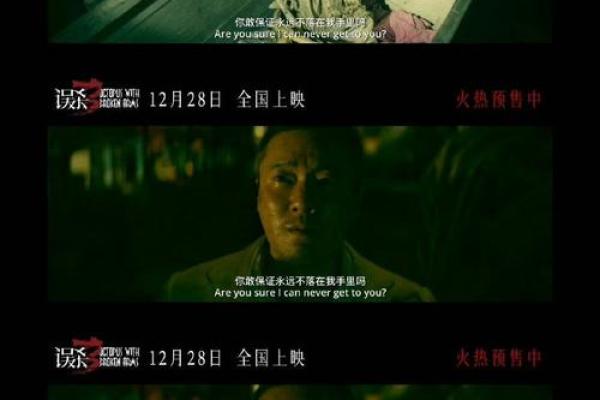 探索命带的含义与影响