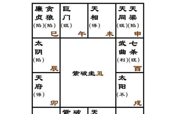 紫微斗数排盘步骤详解：如何精准解析个人命运与运势