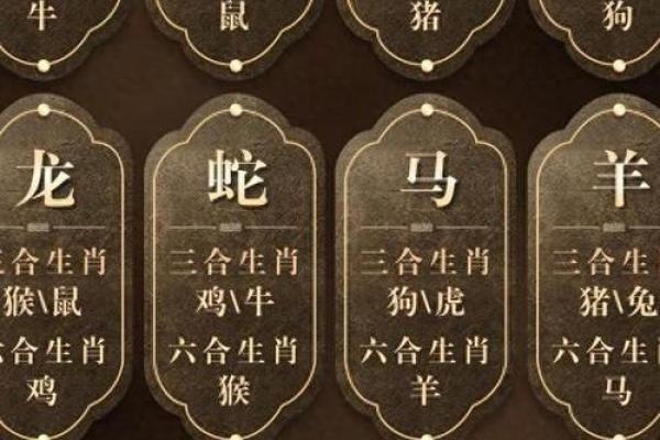 属相相配表中的爱情密码，解锁生肖间的默契