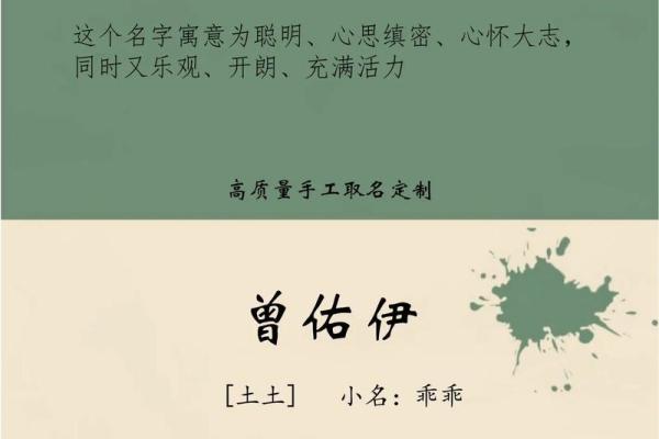 夏姓男宝宝名字推荐：传承与个性的结合