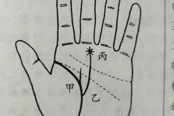 探索金龟手相：一生财富与幸福的象征