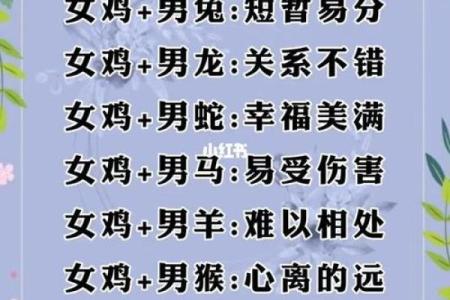 属狗和属猴的配对是否合适？解析两者的相容性与婚姻关系
