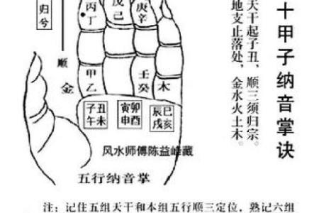 如何利用红雀掌风水改善家中的能量流动