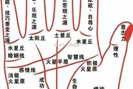 经商手相解析：从手掌看你的商业潜力