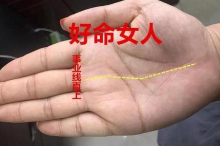 手相能预测命运吗？揭开背后的神秘面纱