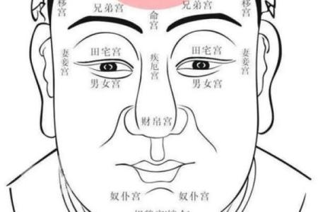 下巴在面相学中的作用与命运走向分析