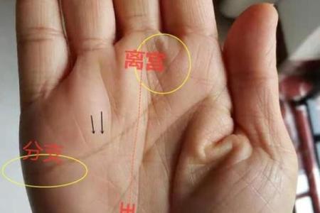 探索手相学的未来：测手相相机如何改变命运解析
