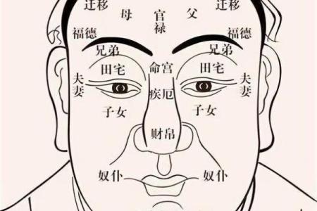 高鼻梁面相代表的财富与事业运
