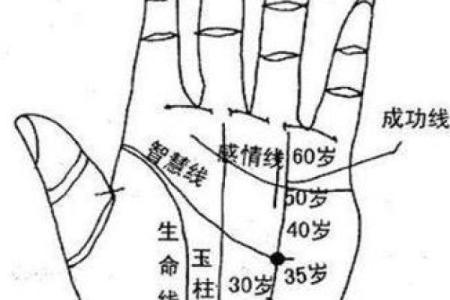 解密手相中的秘密：你手掌的线条透露了什么命运信息