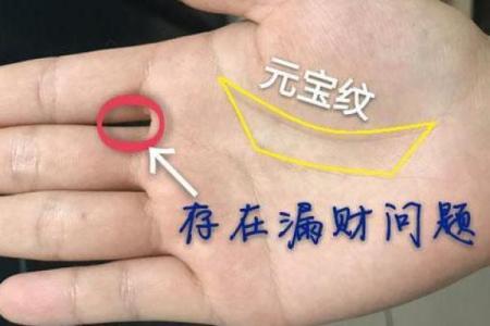 手掌中的金龟相：解读你的命运与财富之道