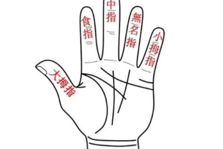 手指头与手相的关系：从细节看人生轨迹