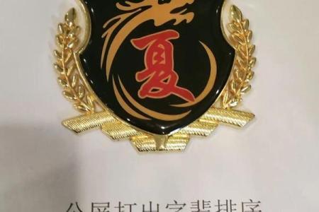 夏姓男宝宝名字推荐：传承与个性的结合