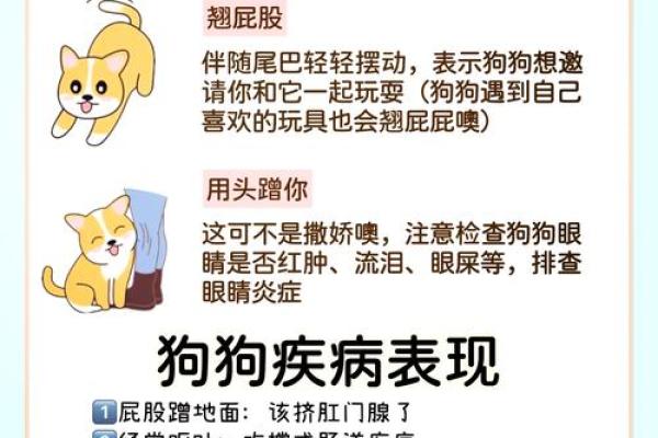 探索狗狗婚配：如何确保宠物配对的和谐与幸福