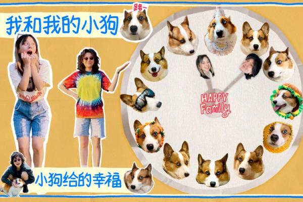 探索狗狗婚配：如何确保宠物配对的和谐与幸福