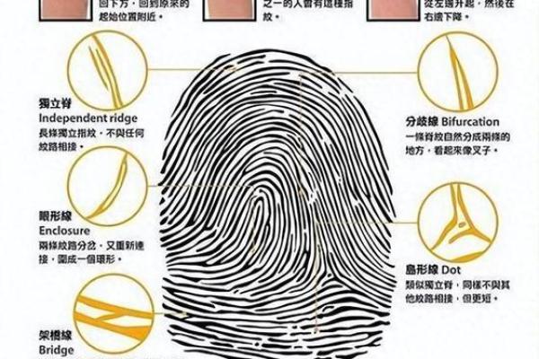 如何通过指纹看出一个人是否命运富贵