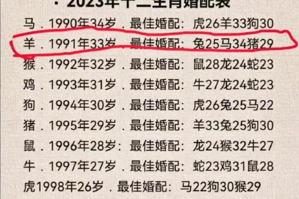 属猪女与属狗男合适吗？探讨两者在感情与生活中的契合度