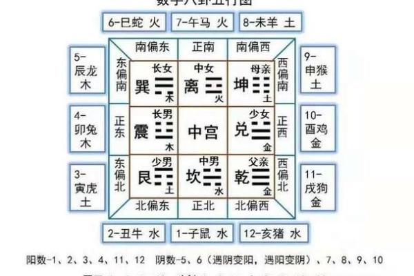 天干八卦的神秘奥秘与应用解析
