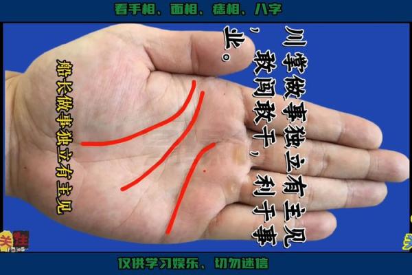 手相中的影响线揭示你未来的潜在变化与挑战