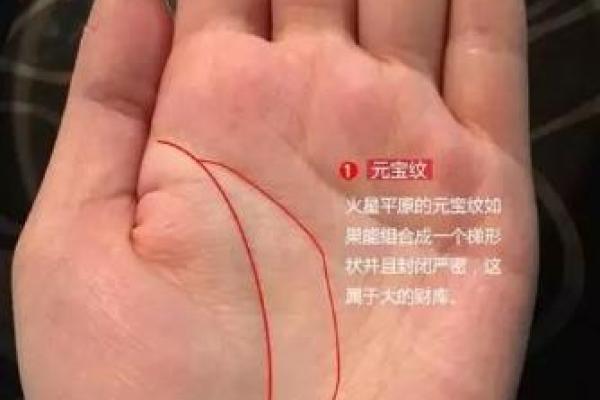 手相中的影响线揭示你未来的潜在变化与挑战