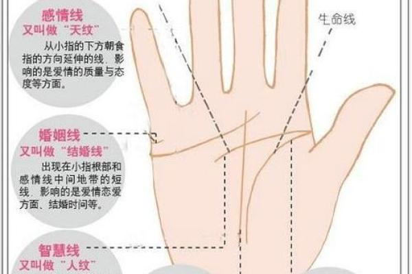 智能测手相相机：用科技揭示你的命运线