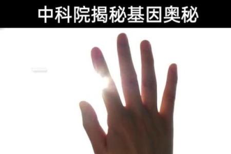 指纹与命运的关系：揭开富贵命的秘密