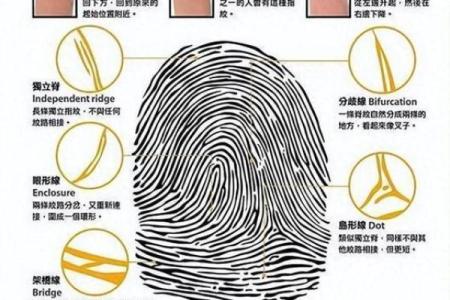 如何通过指纹看出一个人是否命运富贵