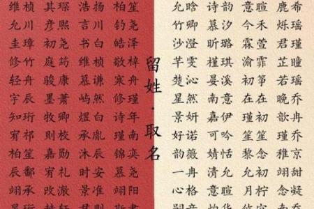 中午出生宝宝的最佳名字选择指南