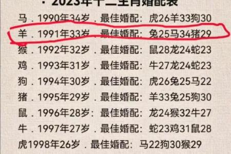 属猪女与属狗男合适吗？探讨两者在感情与生活中的契合度
