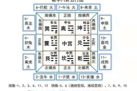 天干八卦的神秘奥秘与应用解析
